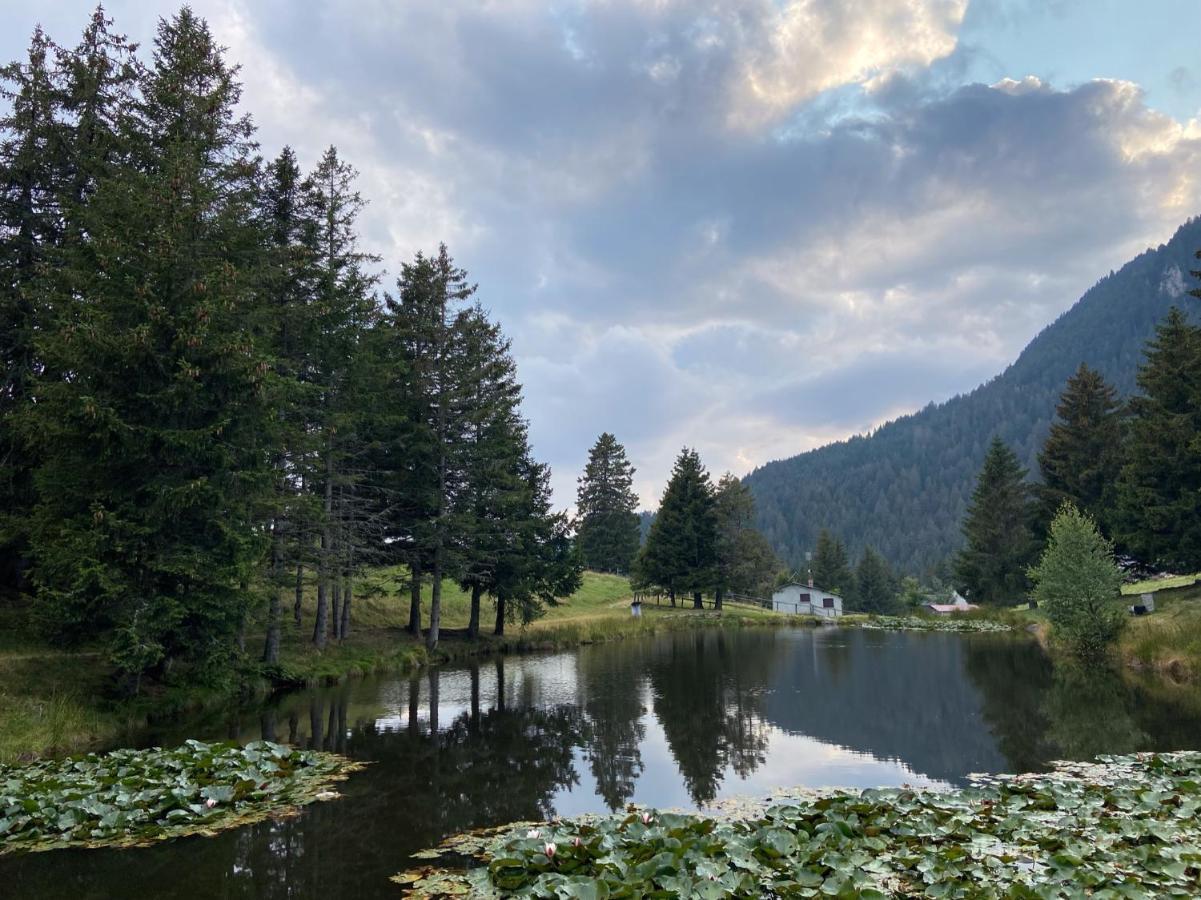 Do-Minus Boutique Home & Private Spa Ca Pedrot Mountain Cottage Monte Carasso المظهر الخارجي الصورة